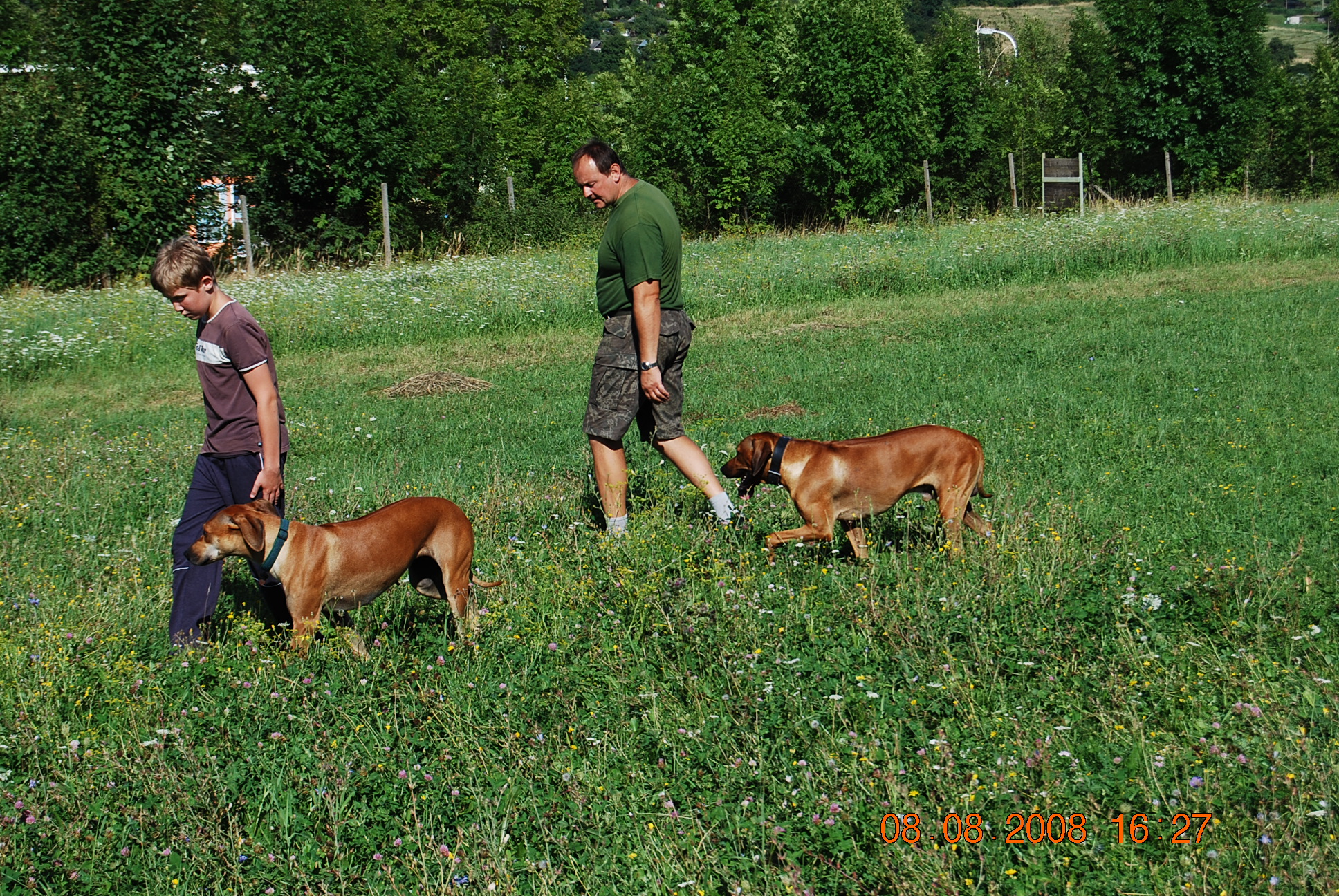 DSC_1441.JPG