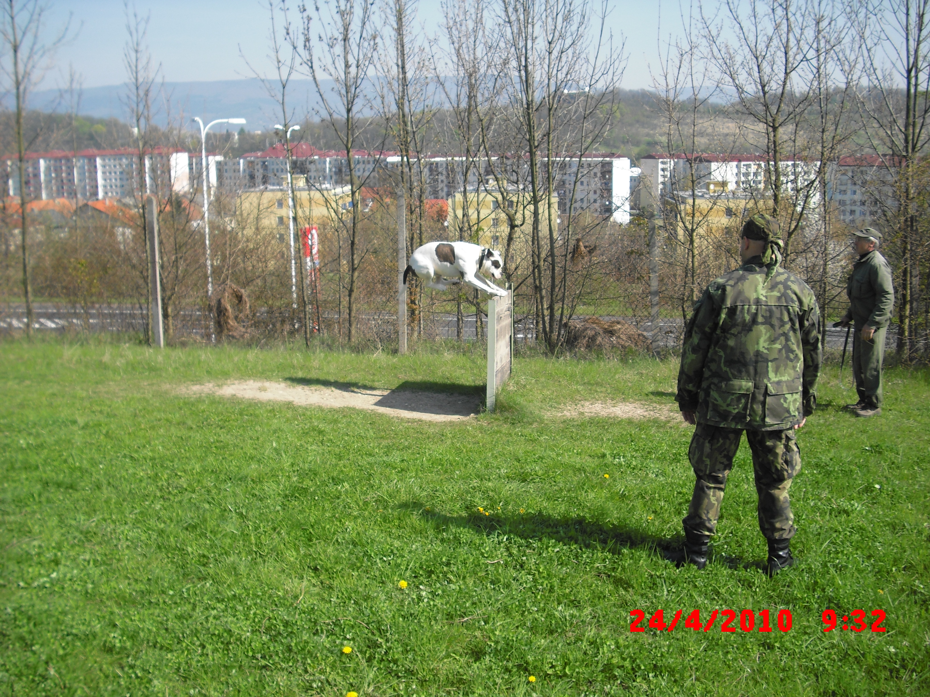 CIMG1956.JPG